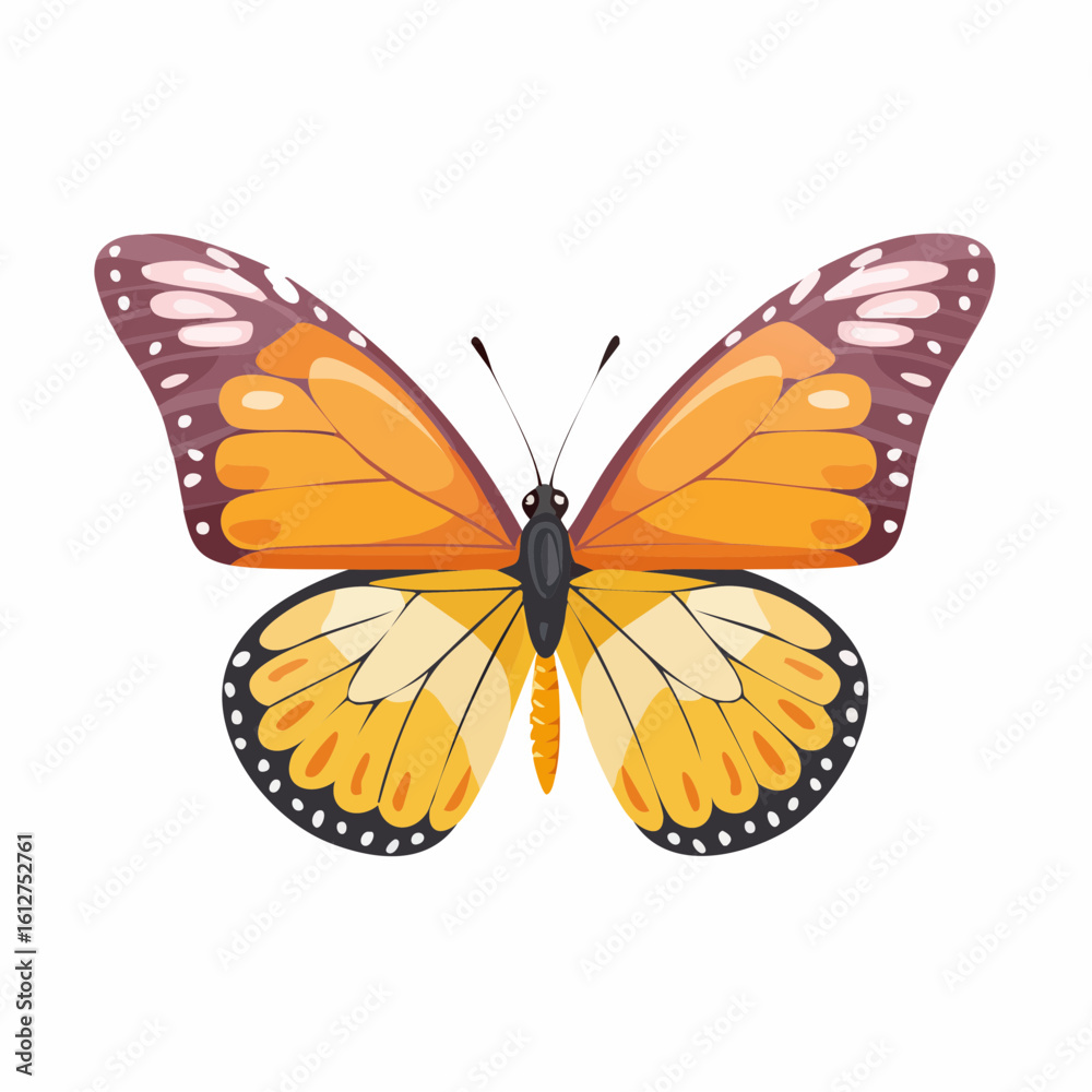 Fototapeta premium Elegant butterfly with symmetrical wings and gradient colors, a vibrant natural display