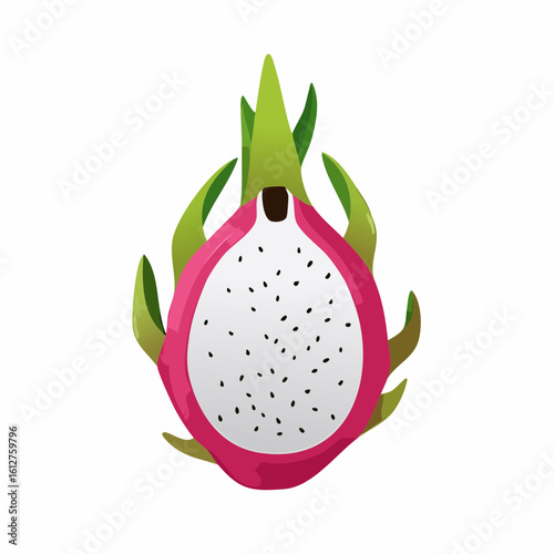 Isolated Dragon Fruit Illustration on White Background for Decorative Purposes