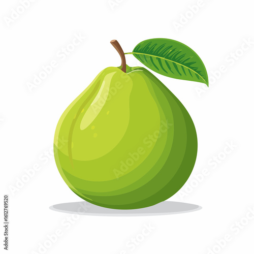 Fresh and Vibrant Green Guava Fruit with Leaf Depicting Healthy Eating and Natural Sweetness