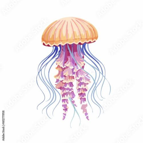 A beautifully illustrated jellyfish with flowing tentacles on a white background
