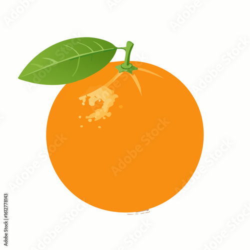 Vibrant vector illustration showcasing a ripe orange with a fresh green leaf attached