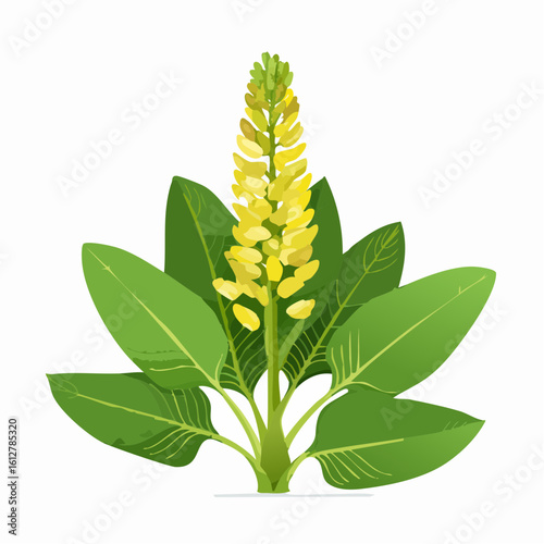 Illustration of a vibrant yellow flowering plant surrounded by lush green leaves