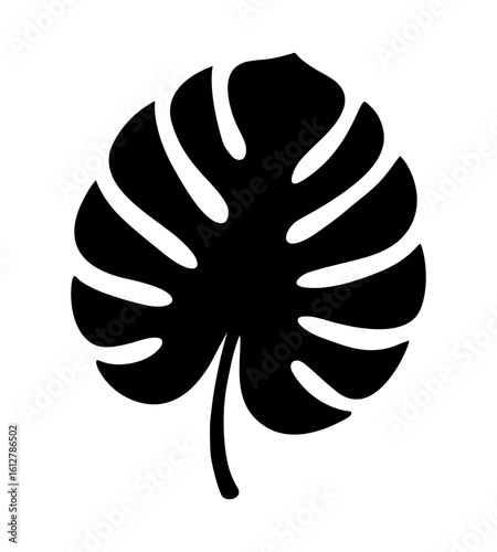 Monstera Leaf Silhouette Vector