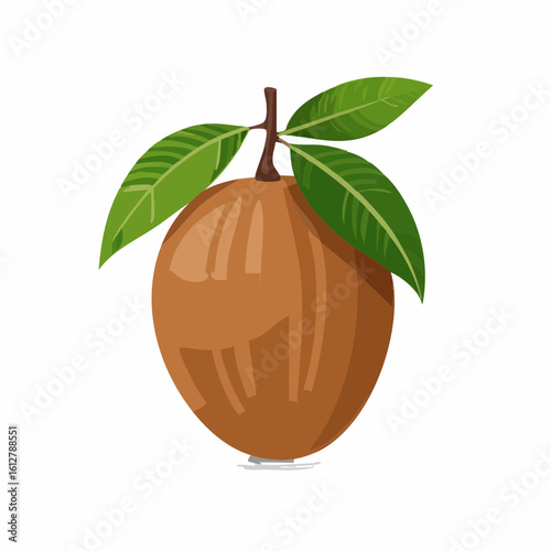 An Illustration of a Single Sapodilla Fruit Hanging From a Tree Branch With Green Leaves