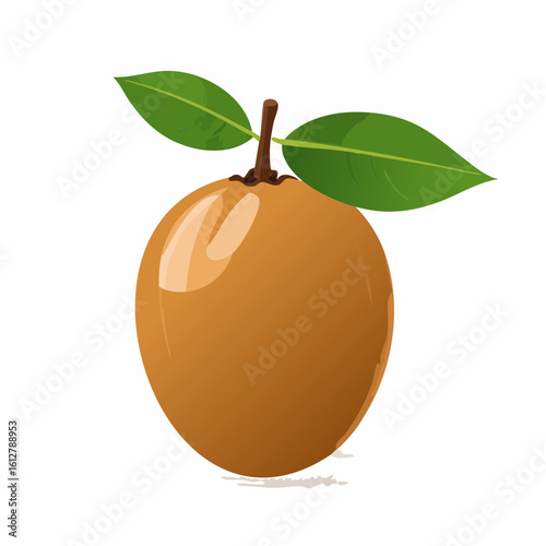 Sapodilla fruit illustration with leaves, showcasing vibrant color and smooth texture