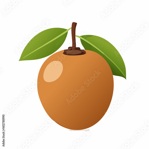Isolated Sapodilla Fruit Illustration with Green Leaves and Brown Stem on White Background