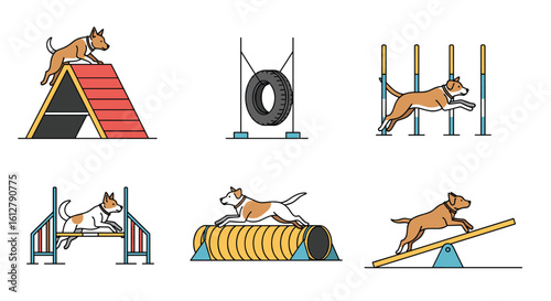 Canine athletic pursuits demonstrating agility sports and training exercises for dogs