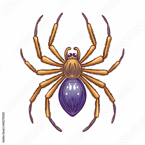 Detailed illustration of a spider with hairy legs and a purple abdomen on white background