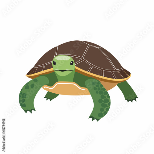 A Charming Cartoon Turtle Isolated on White Background Depicting Nature and Wildlife