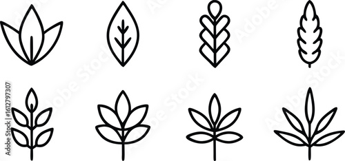 Minimalist Leaf Line Art Collection Vector Icons