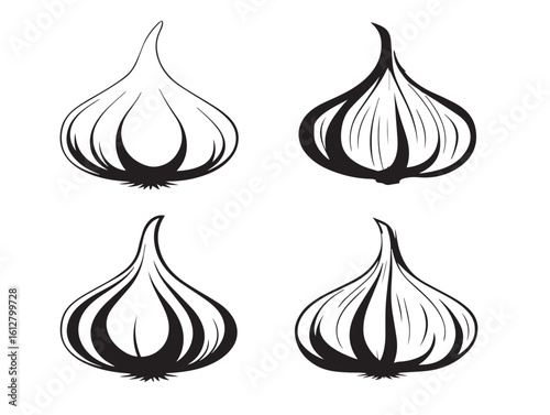 Organic garlic illustrations in 2D line style
