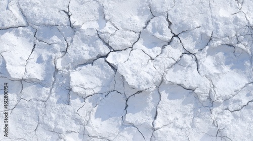 The dry ground displays a network of cracks on a bright day, highlighting the contrast between the pale surface and the warm sun. This natural phenomenon evokes a sense of aridity and resilience.