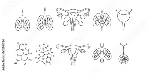 Illustration of human organs and chemical structures in a repeating pattern on a white background