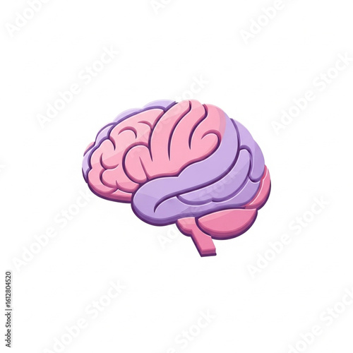 Cartoonish illustration of a human brain, colored pink and lavender.