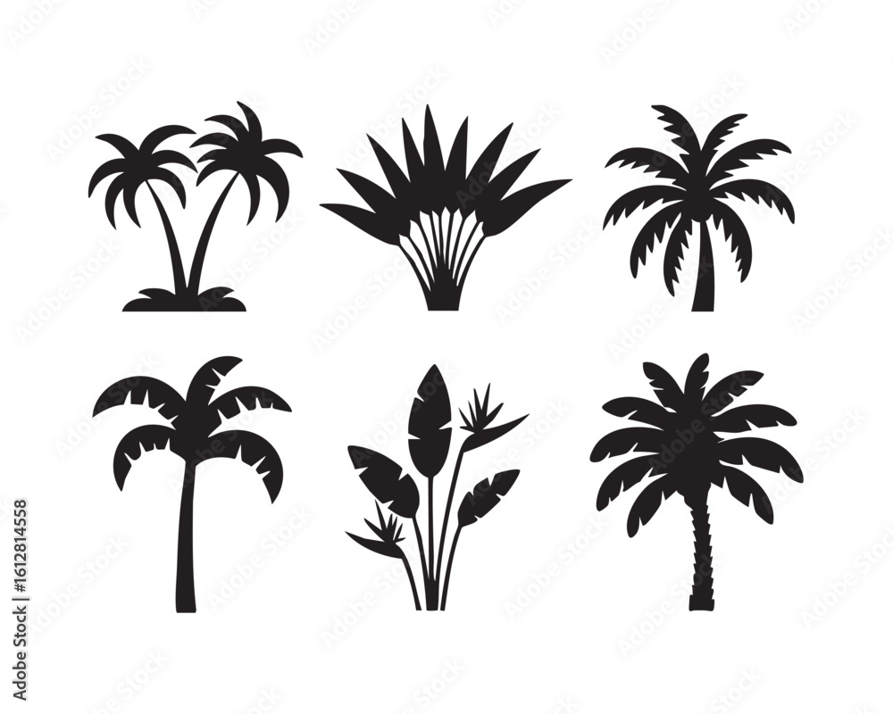 Naklejka premium Black and white silhouettes of tropical plants and palm trees nature