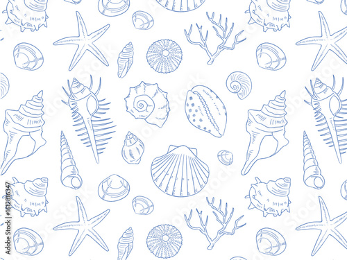 手描き貝殻のシームレスパターン背景_ベクターイラスト