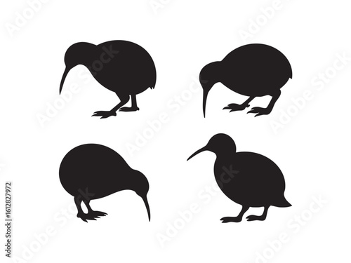 Four black kiwi bird silhouettes on a white background black and white animal