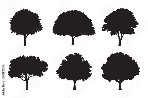 Six black tree silhouettes with detailed foliage and branches on white nature