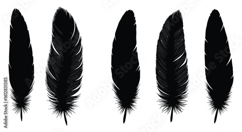 Three Black Feathers Silhouette on White Background Illustration