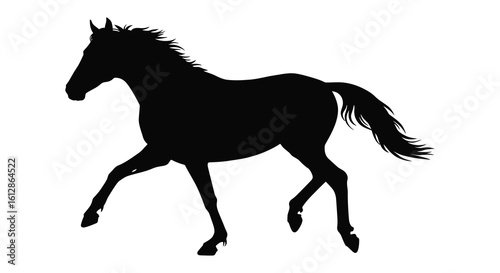 Black Horse Silhouette Running on a White Background Illustration