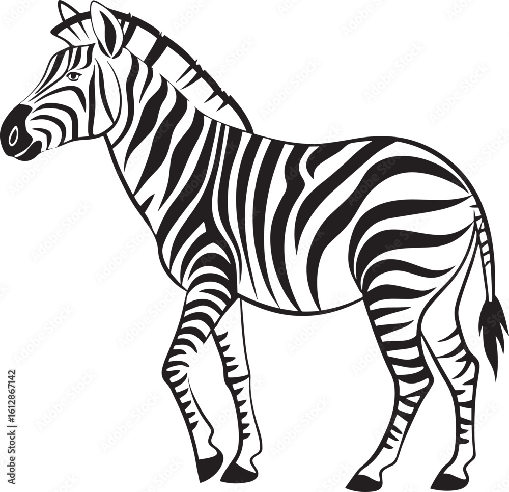Obraz premium Zebra illustration with black and white stripes in a cartoon style