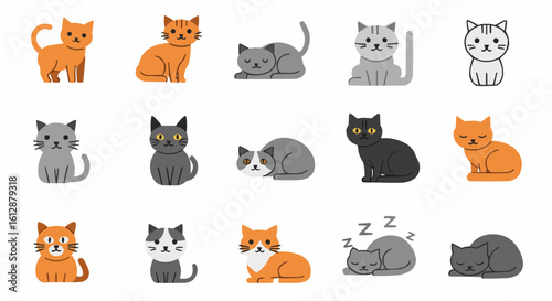 A collection of adorable cats in various poses and colors.