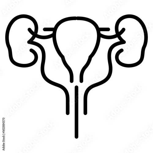 Bladder icon vector image. Can be used for Human Anatomy.