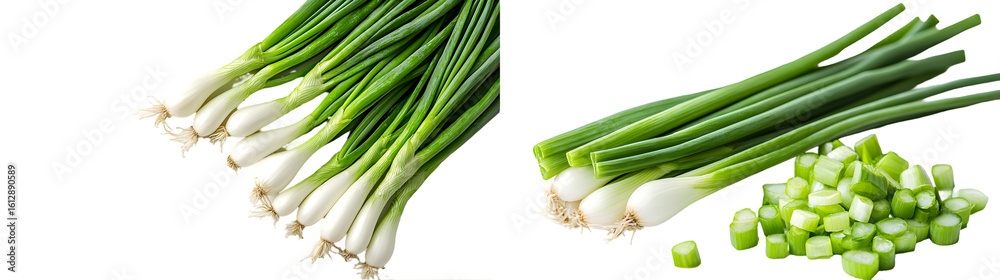 Cut fresh green onions isolated on a transparent background Cut fresh green onions isolated on a transparent background