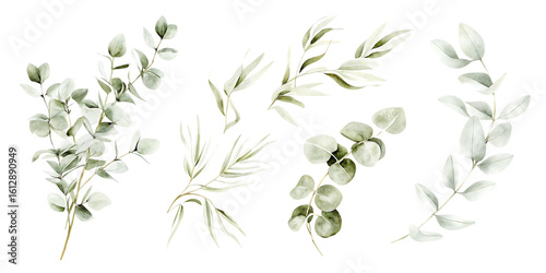 Delicate greenery sprigs botanical elements isolated on transparent background
