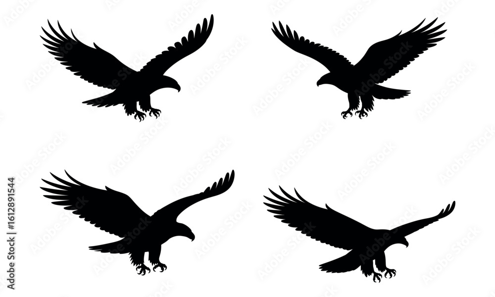 Obraz premium Eagle flying with wings spread black silhouette in dynamic motion 