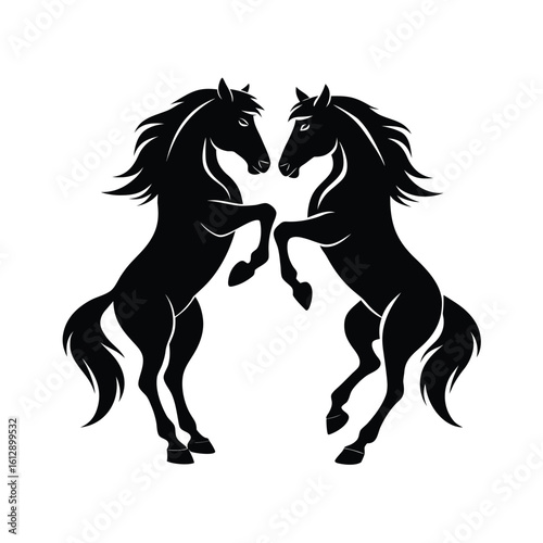 Two majestic wild horses rearing up facing each other in dynamic motion