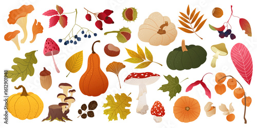 Collection textured autumn elements: pumpkins, leaves, mushrooms, berries, acorns and nuts. Cozy fall mood for seasonal card, banner, poster, print. Set of of warm flat vector design element isolated