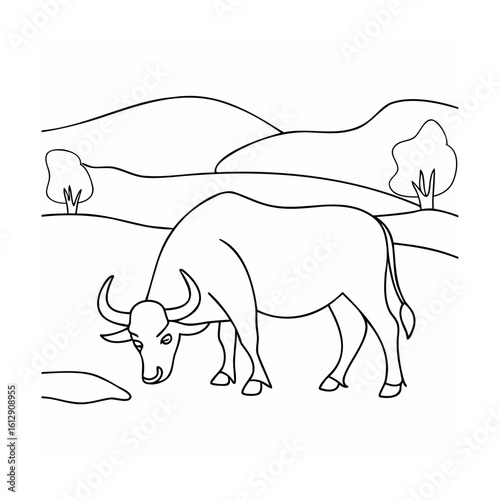 Water buffalo grazing in rolling hills animal livestock