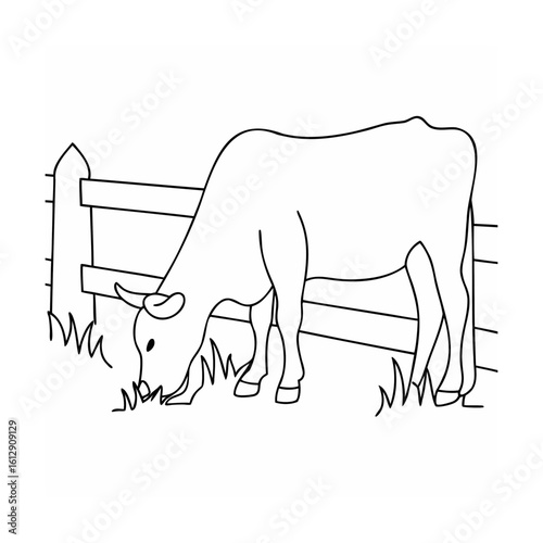 Grazing cow by wooden fence eating grass farm animal