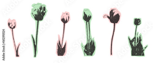 Tulip flowers halftone collage stickers set. Cutout photocopy floral elements for mixed media design. Pieces of retro magazine halftone wildflowers. Vector illustration isolated on white background.