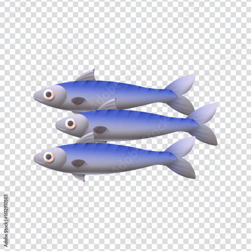 Atlantic mackerel