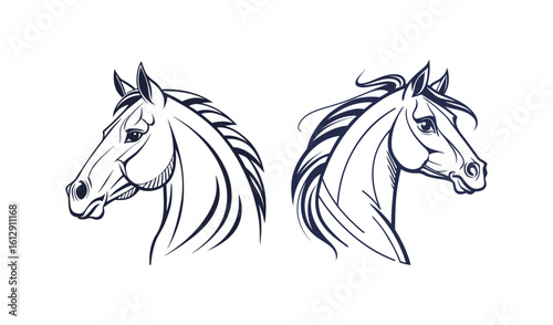 Two detailed horse head sketches facing opposite directions in black ink