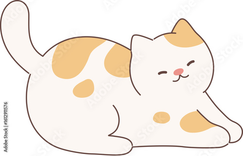Cute cat
