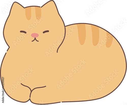 Cute cat