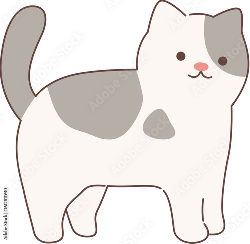 Cute cat