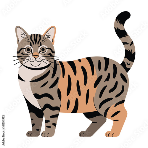 Tabby Cat, vector illustration on white background.