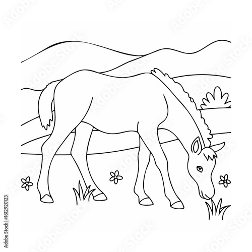 Young horse grazing in a grassy field with flowers