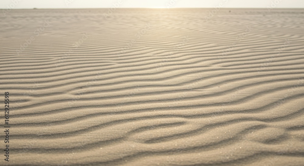 Obraz premium Dunes rhythmic patterns a sandscape sculpted by wind bathed in soft light