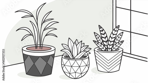 Indoor plants in pots illustration vector graphic design for home decor and botanical art projects