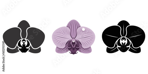 Orchid flower collection featuring phalaenopsis and dendrobium types silhouette vector, orchid silhouette, orchid svg, orchid png, orchid illustration, orchid, silhouette flower, floral svg, herb
