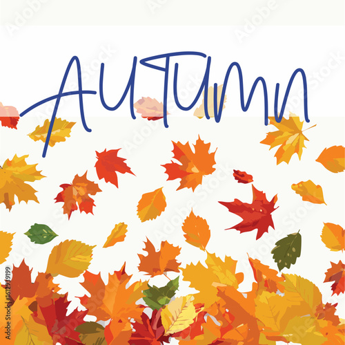  Autumn forest maple leaf in september season, flying orange foliage from tree on ground transparent background