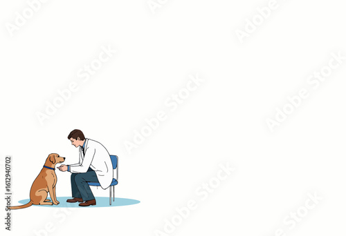 Veterinarian examining a dog while sitting on a chair indoors  