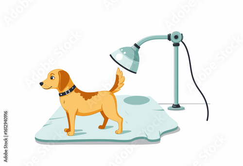 Cartoon dog standing on grooming mat under lamp in bright room  