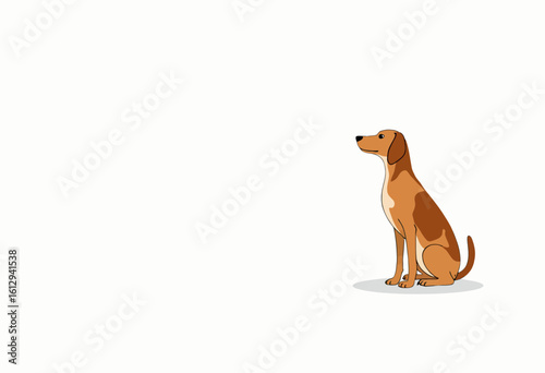 Dog sitting calmly on white background  