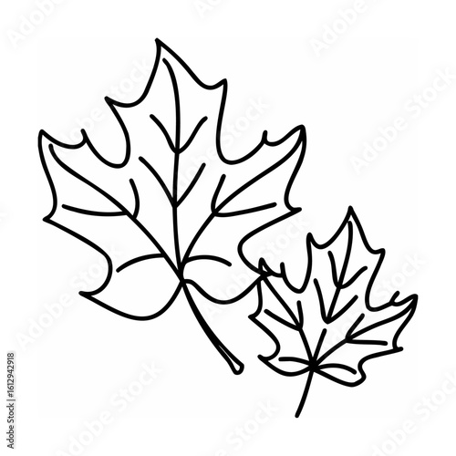 Two maple leaves outline autumn fall